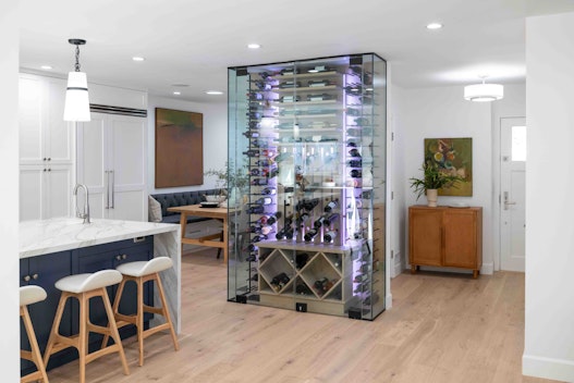 HCIOU204 Allison Janey Reveal D1040797